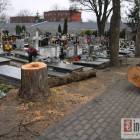 zdjęcie nr 18
