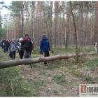 zdjęcie nr 14