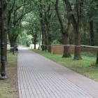 zdjęcie nr 47