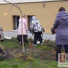zdjęcie nr 44