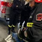 Fotka nr 5 z 7