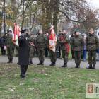 zdjęcie nr 15