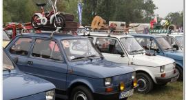zdjęcie nr 43