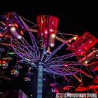 Fotka nr 4 z 10