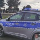 Fotka nr 4 z 11