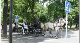 zdjęcie nr 23