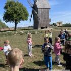 zdjęcie nr 14