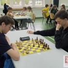 zdjęcie nr 11