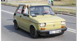 zdjęcie nr 73