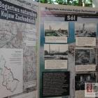 Fotka nr 4 z 9