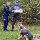 Fotka nr 2 z 12