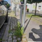 zdjęcie nr 15