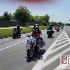 Fotka nr 4 z 78