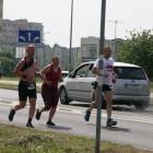 zdjęcie nr 224