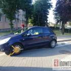 zdjęcie nr 11