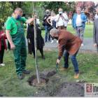 zdjęcie nr 15