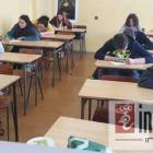 zdjęcie nr 10