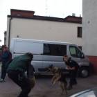zdjęcie nr 13