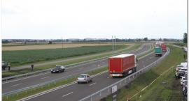 zdjęcie nr 49