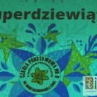 zdjęcie nr 26