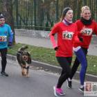 zdjęcie nr 112