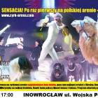 zdjęcie nr 12