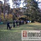 Fotka nr 4 z 8