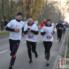 zdjęcie nr 102