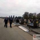 Fotka nr 3 z 11