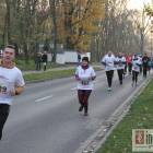zdjęcie nr 101