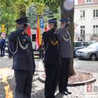 zdjęcie nr 33