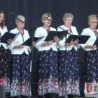 zdjęcie nr 15