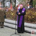 zdjęcie nr 17