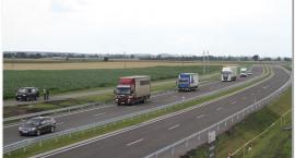 zdjęcie nr 44