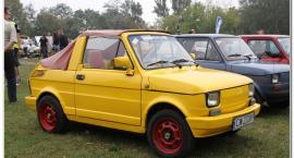 zdjęcie nr 20