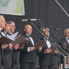 zdjęcie nr 10