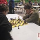 Fotka nr 4 z 23