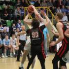 zdjęcie nr 15