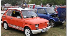 zdjęcie nr 45
