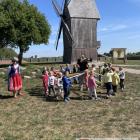 zdjęcie nr 17