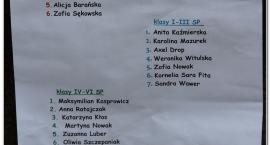 zdjęcie nr 17