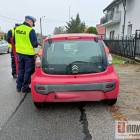 Fotka nr 3 z 12