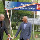 zdjęcie nr 15
