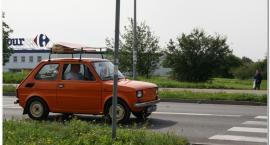 zdjęcie nr 66