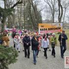 zdjęcie nr 15