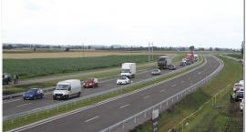 zdjęcie nr 43