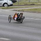 Fotka nr 3 z 233