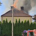 zdjęcie nr 41