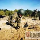 Fotka nr 5 z 17