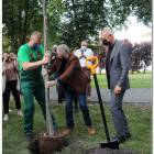 zdjęcie nr 12